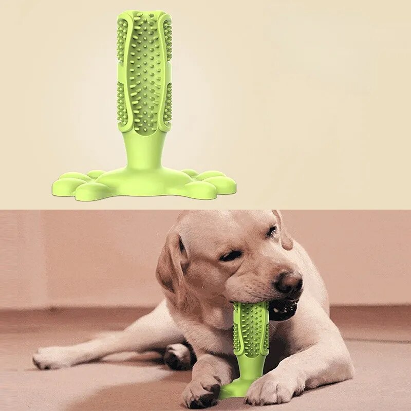 Dog Chew Toy - LimpaDente™