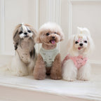 Gessi Pet Dress 