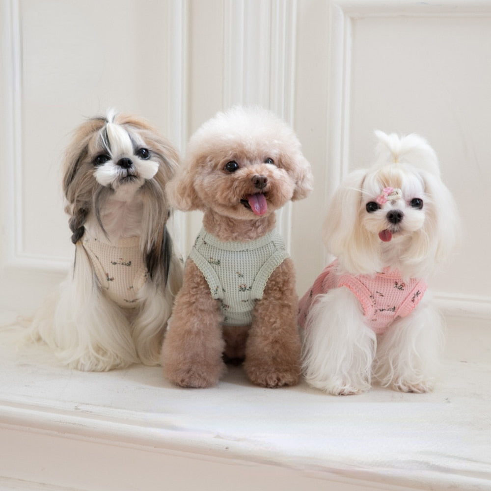 Gessi Pet Dress 