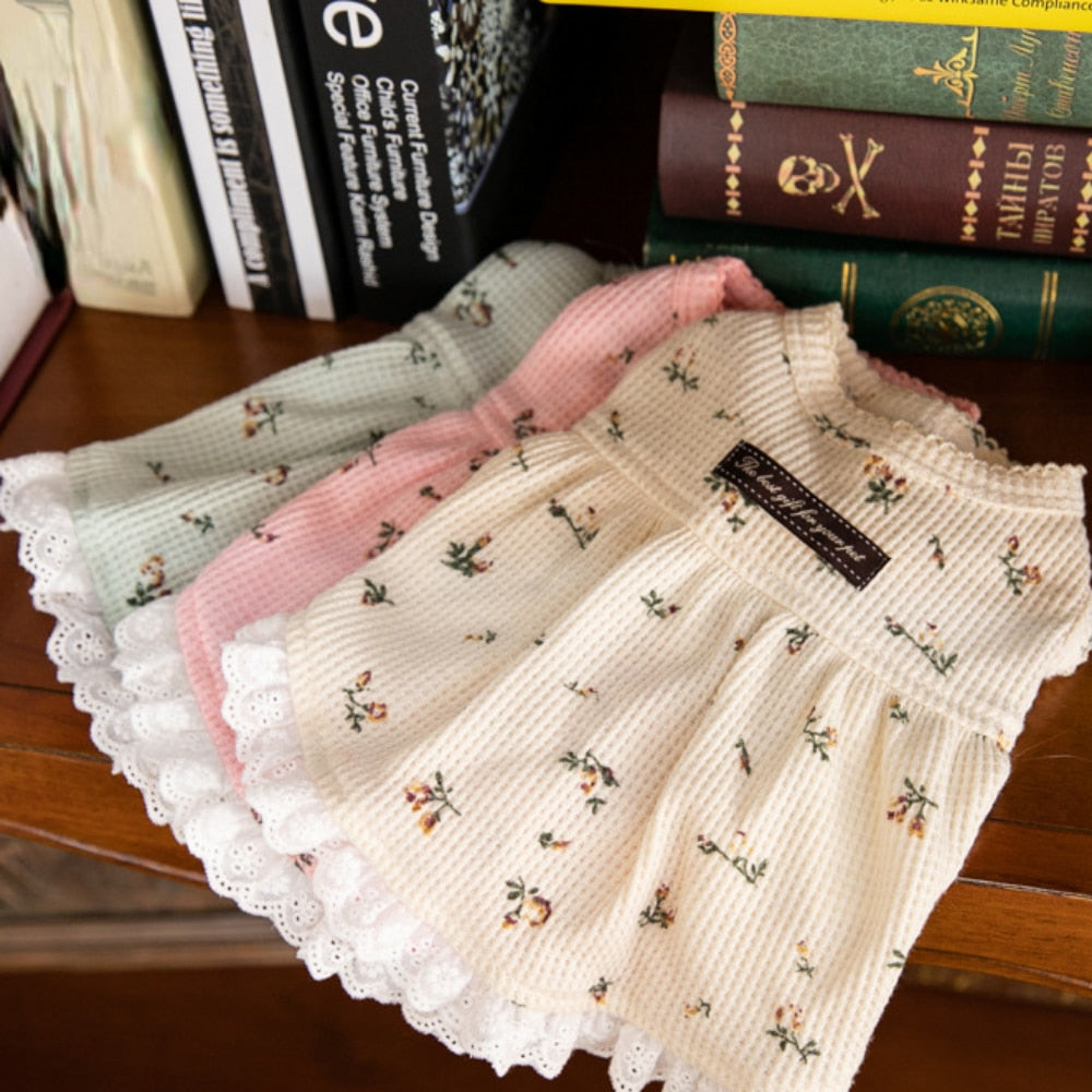 Gessi Pet Dress 