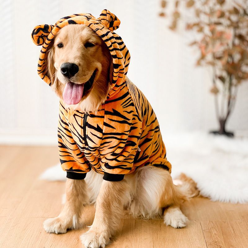 Cute Adventure Sweatshirt 