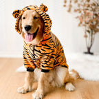 Cute Adventure Sweatshirt 