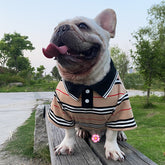 Camiseta Polo Petli