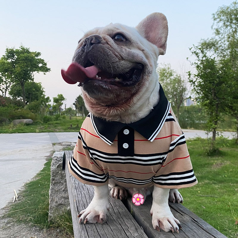 Camiseta Polo Petli