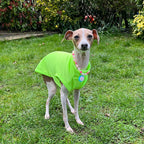 Pet Vani Blouse
