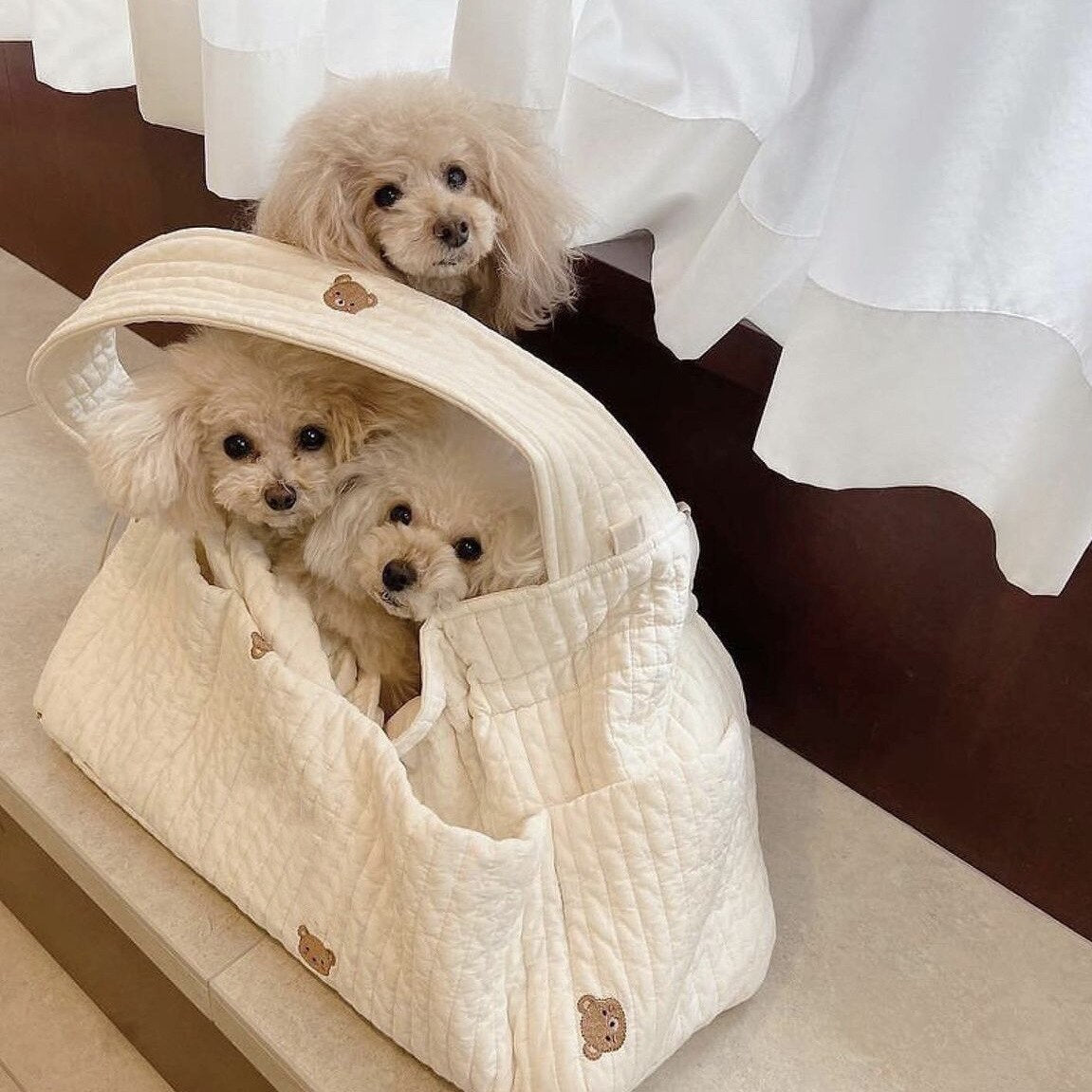 Pet Bulli Carrier Bag