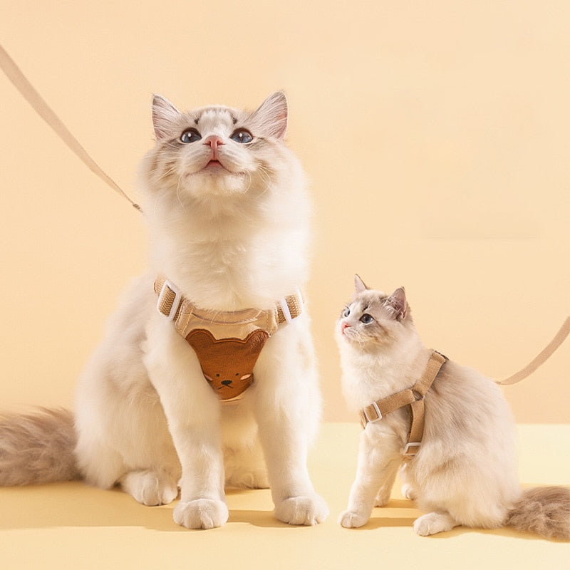 Coleira & Guia Resistente Pet Zilo