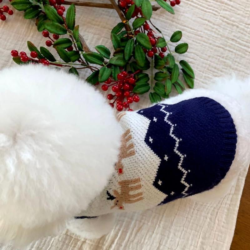 Christmas Knitting with Reindeer 