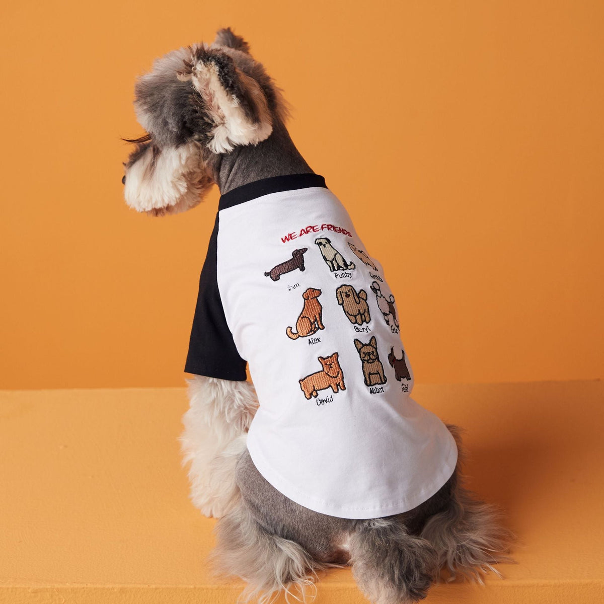 Blusa Pet Friend