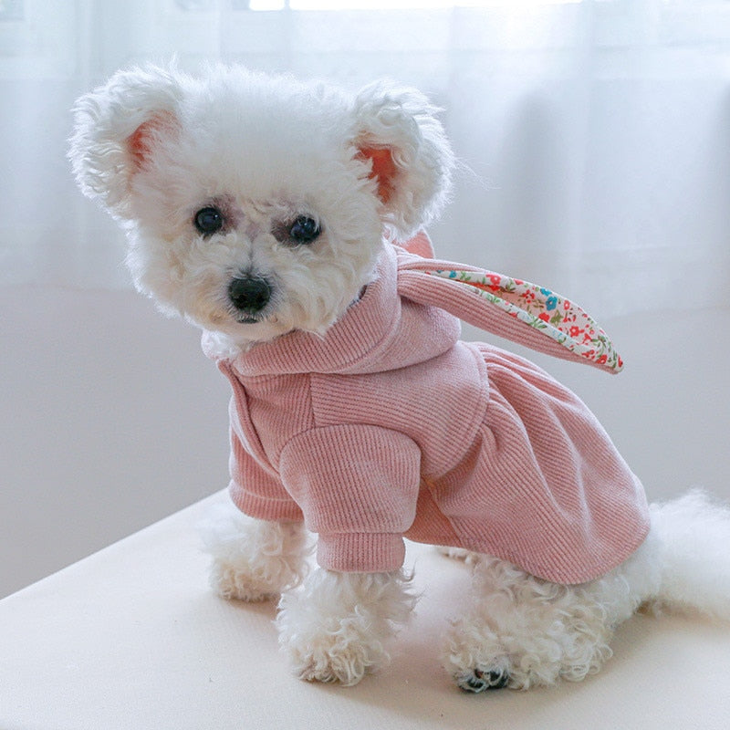 Vestido Pet Bunny