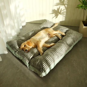 Cama Pet Dream para cachorro e gato