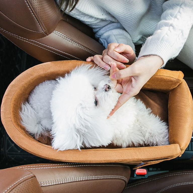 Central Travel Car Seat