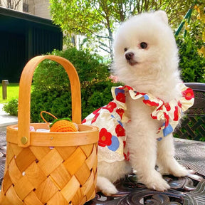 Vestido Pet Floral Puani