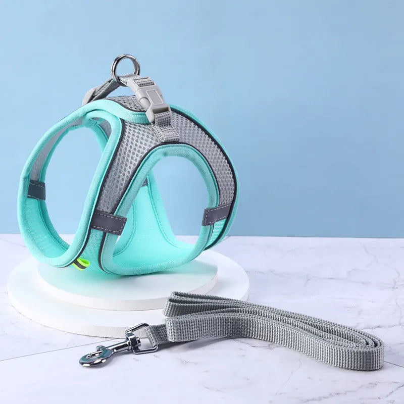 Hamie Pet Collar &amp; Leash