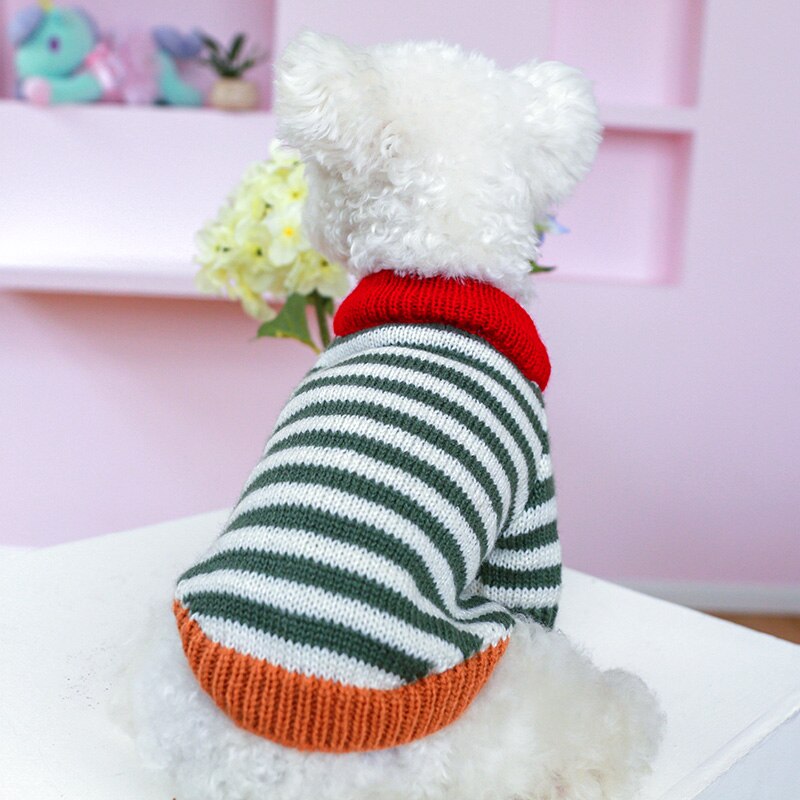 Lionzi Pet Knit 