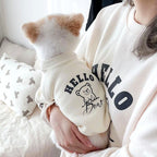 Hello Bear sweatshirt 