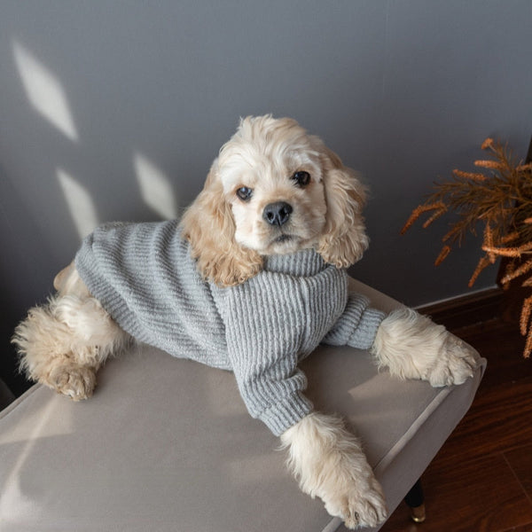 Blusão Tricot Pet Buh - Pet Croc