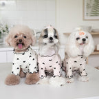 Pet Dika Blouse