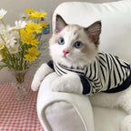 Lilo Pet Sweatshirt 