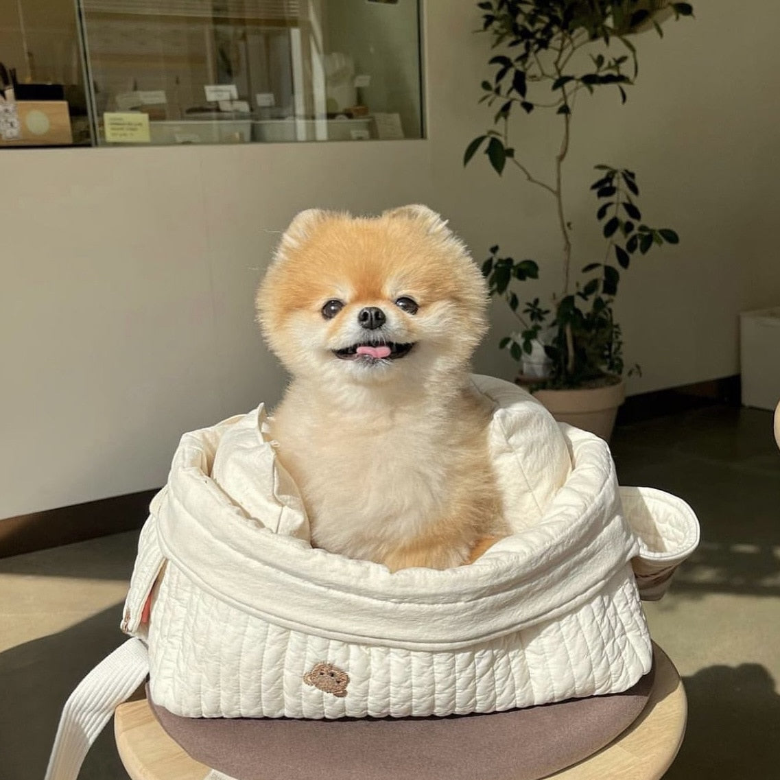 Pet Bulli Carrier Bag