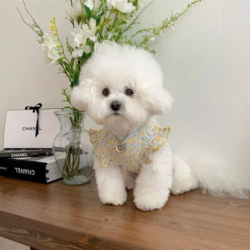 Pet Amandita Blouse