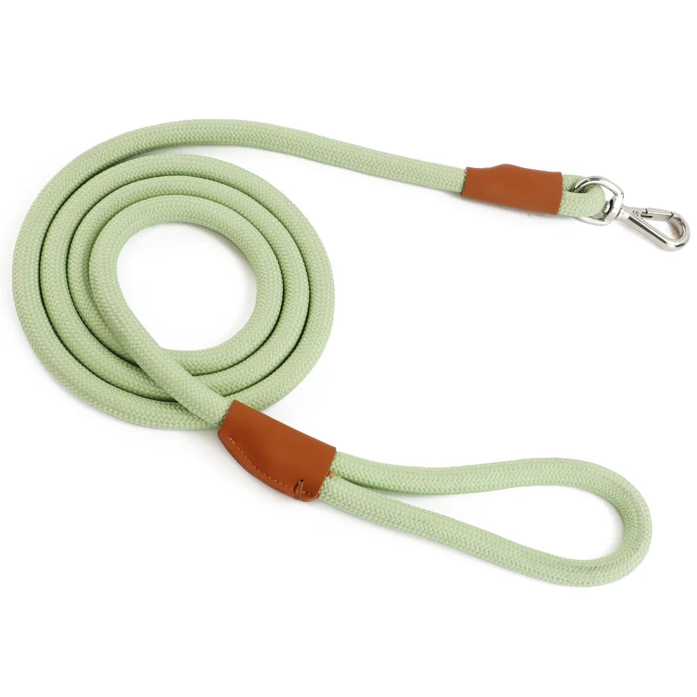 Hammes Pet Guide