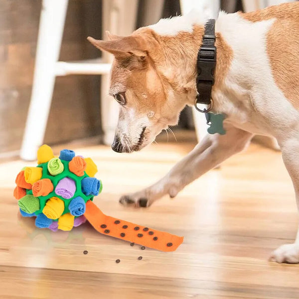 Brinquedo Interativo Para Cães - FarejaCroc™ - Pet Croc