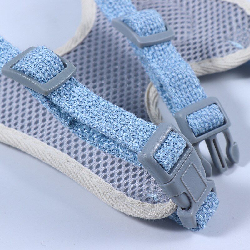 Coleira & Guia Pet Amiguinho