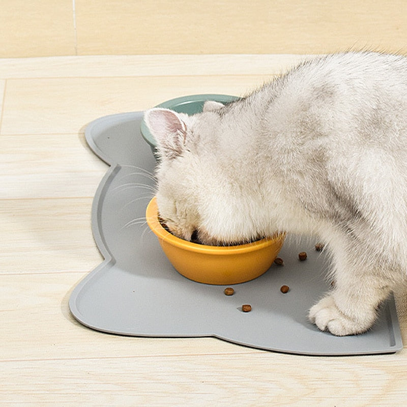 Osak Pet Treadmill 