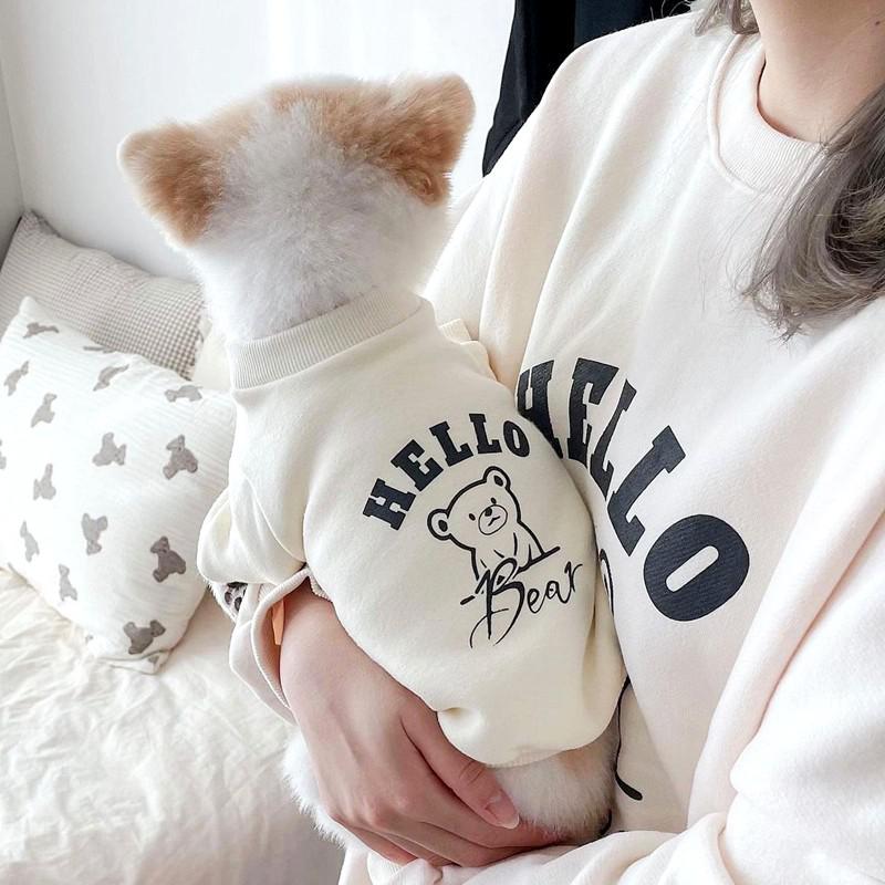 Hello Bear sweatshirt 