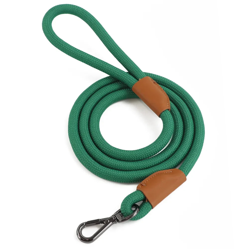 Hammes Pet Guide