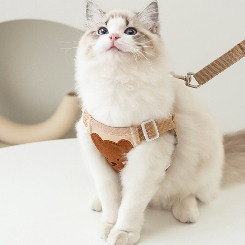 Coleira & Guia Resistente Pet Zilo