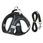 Hamie Pet Collar &amp; Leash
