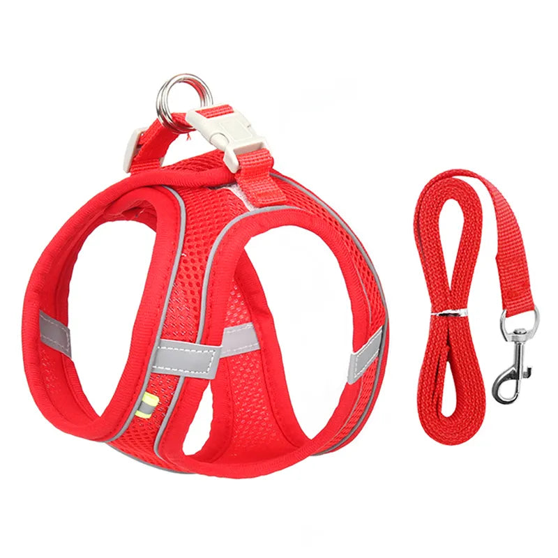 Hamie Pet Collar &amp; Leash