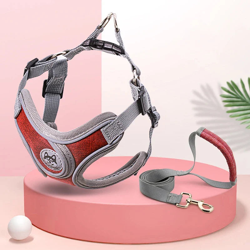 Maguili Pet Collar &amp; Leash Kit 