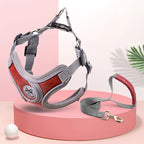 Maguili Pet Collar &amp; Leash Kit 
