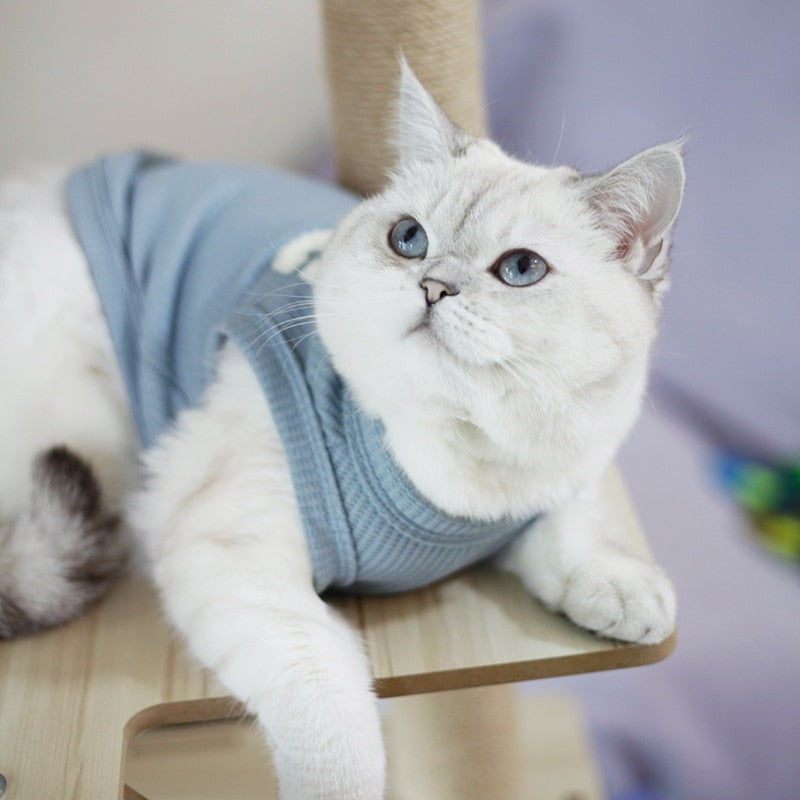 Pet Cece Tank Top 