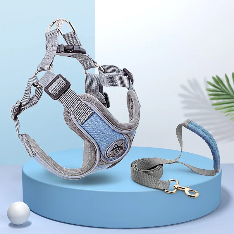 Maguili Pet Collar &amp; Leash Kit 