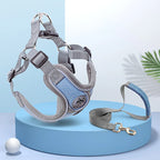Maguili Pet Collar &amp; Leash Kit 