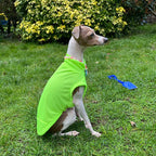 Pet Vani Blouse