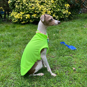 Blusa Pet Vani