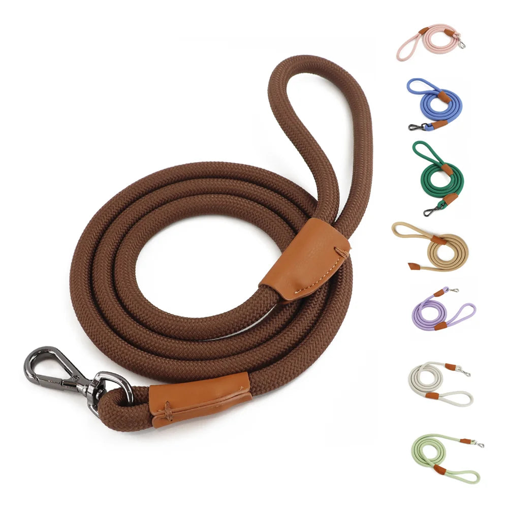 Hammes Pet Guide