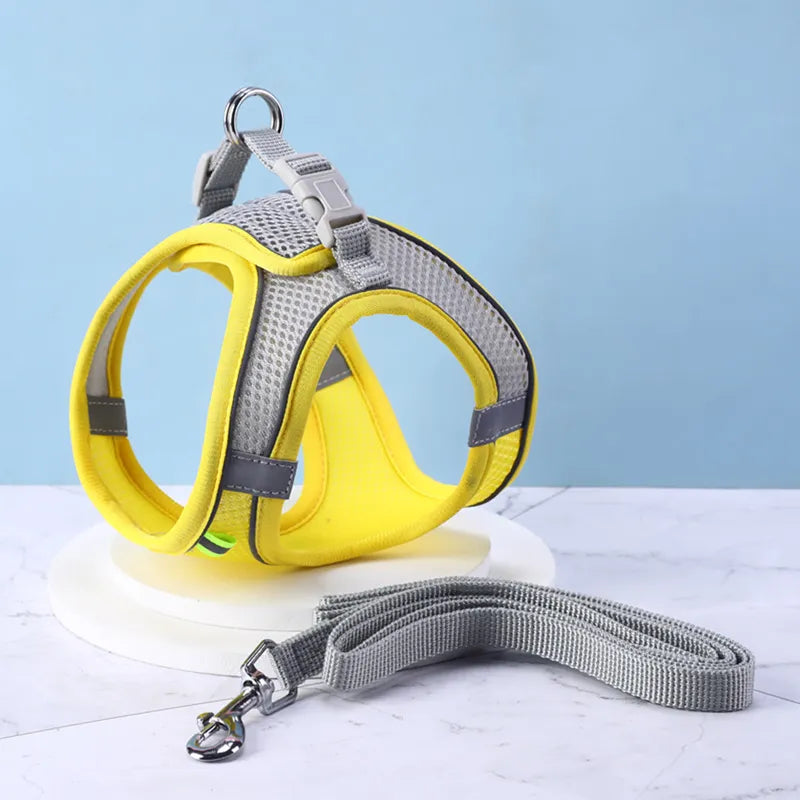 Hamie Pet Collar &amp; Leash