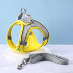 Hamie Pet Collar &amp; Leash