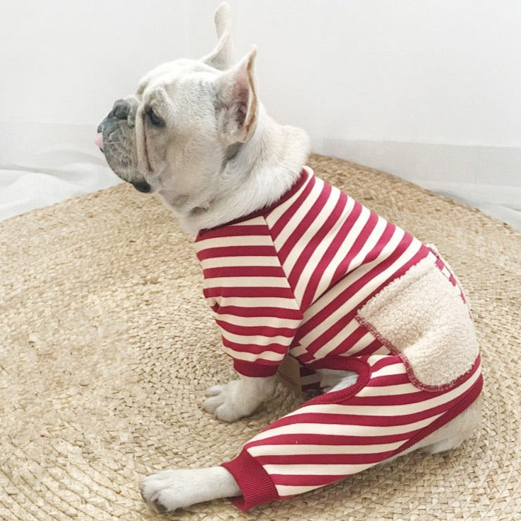 Pierre Pet Jumpsuit 