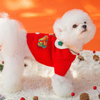 Adorable Christmas Knitted Pet 