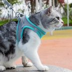 Hamie Pet Collar &amp; Leash