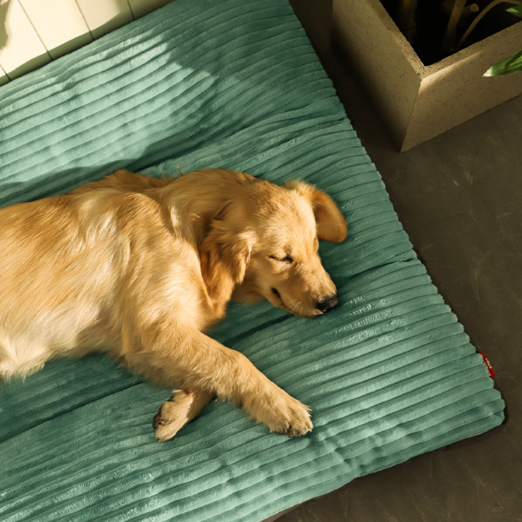 Cama Para Cachorro Grande Kansas