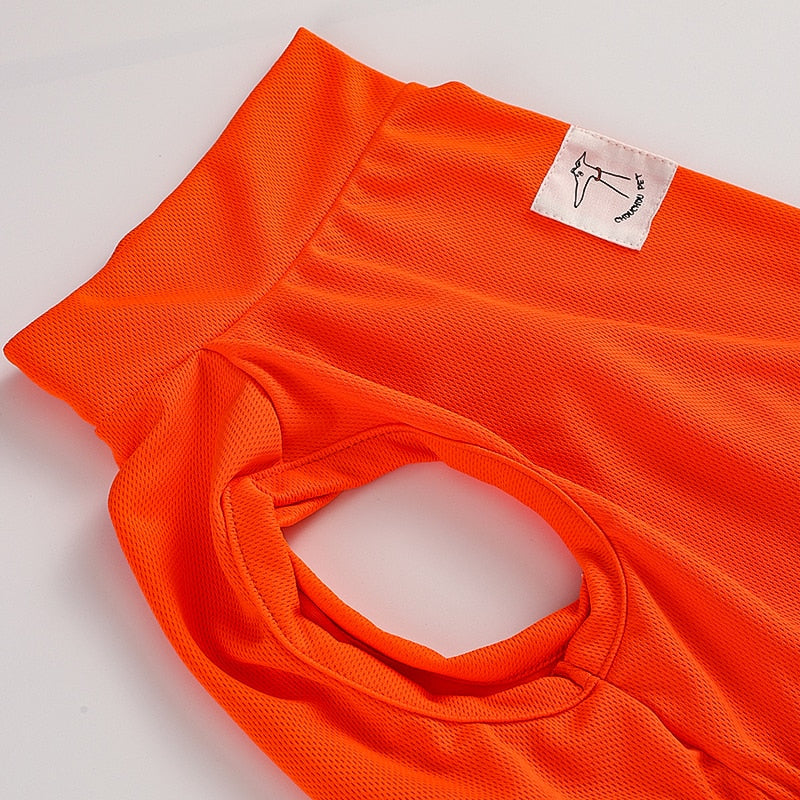Pet Vani Blouse