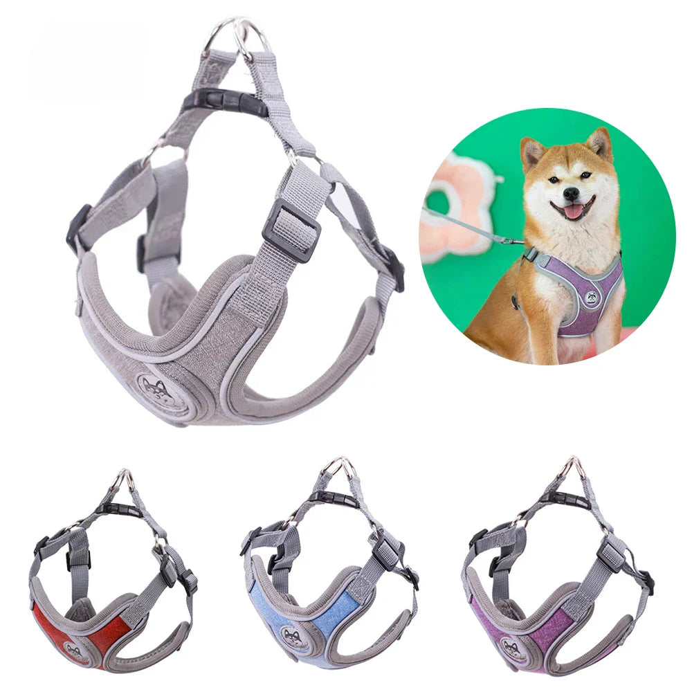 Maguili Pet Collar &amp; Leash Kit 